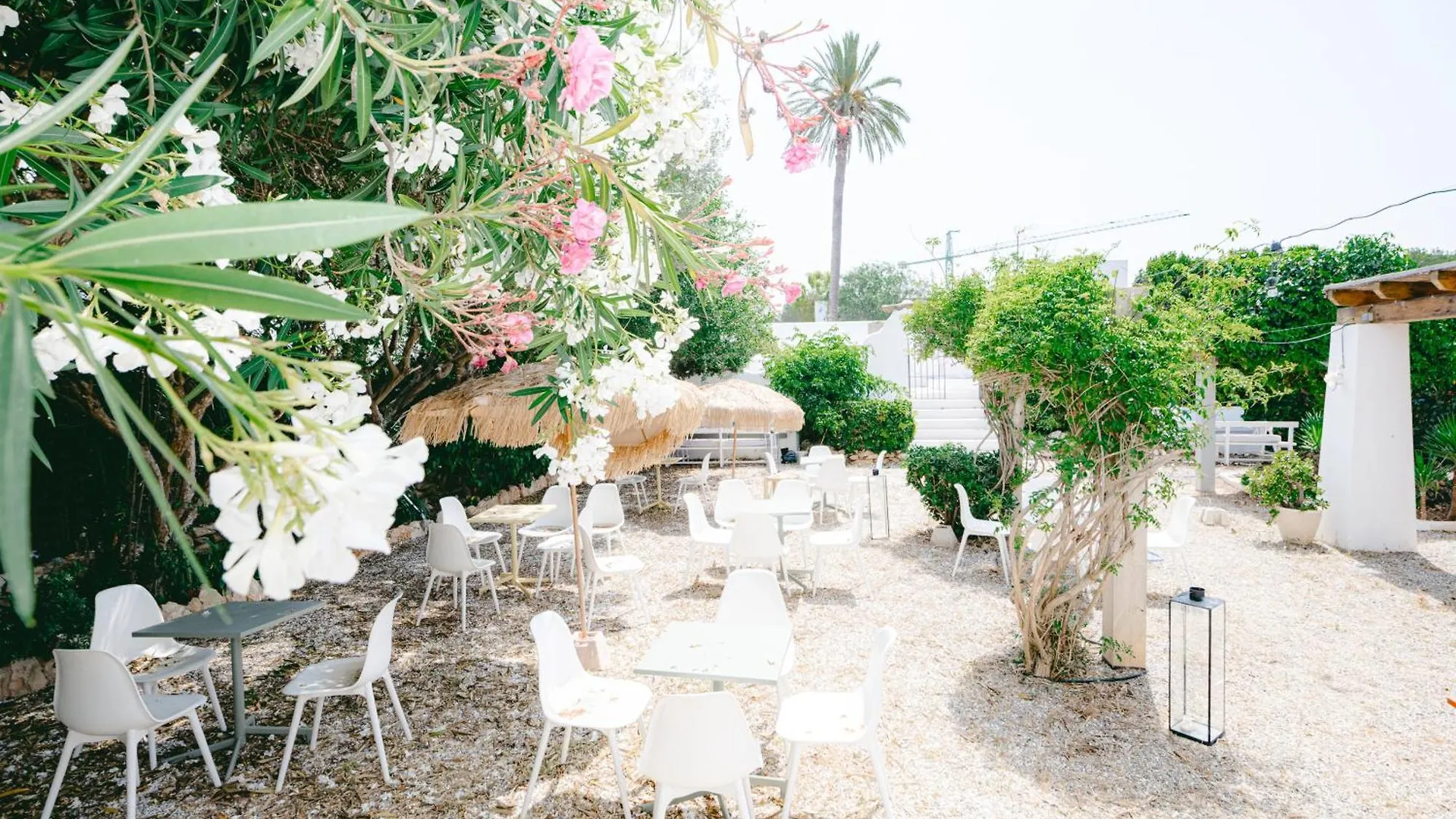Hostel Hostal Flamingo By Nest Cala Llena İspanya